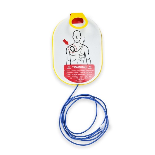 Elektrody wymienne do zestawu szkoleniowego Philips HS1.jpg